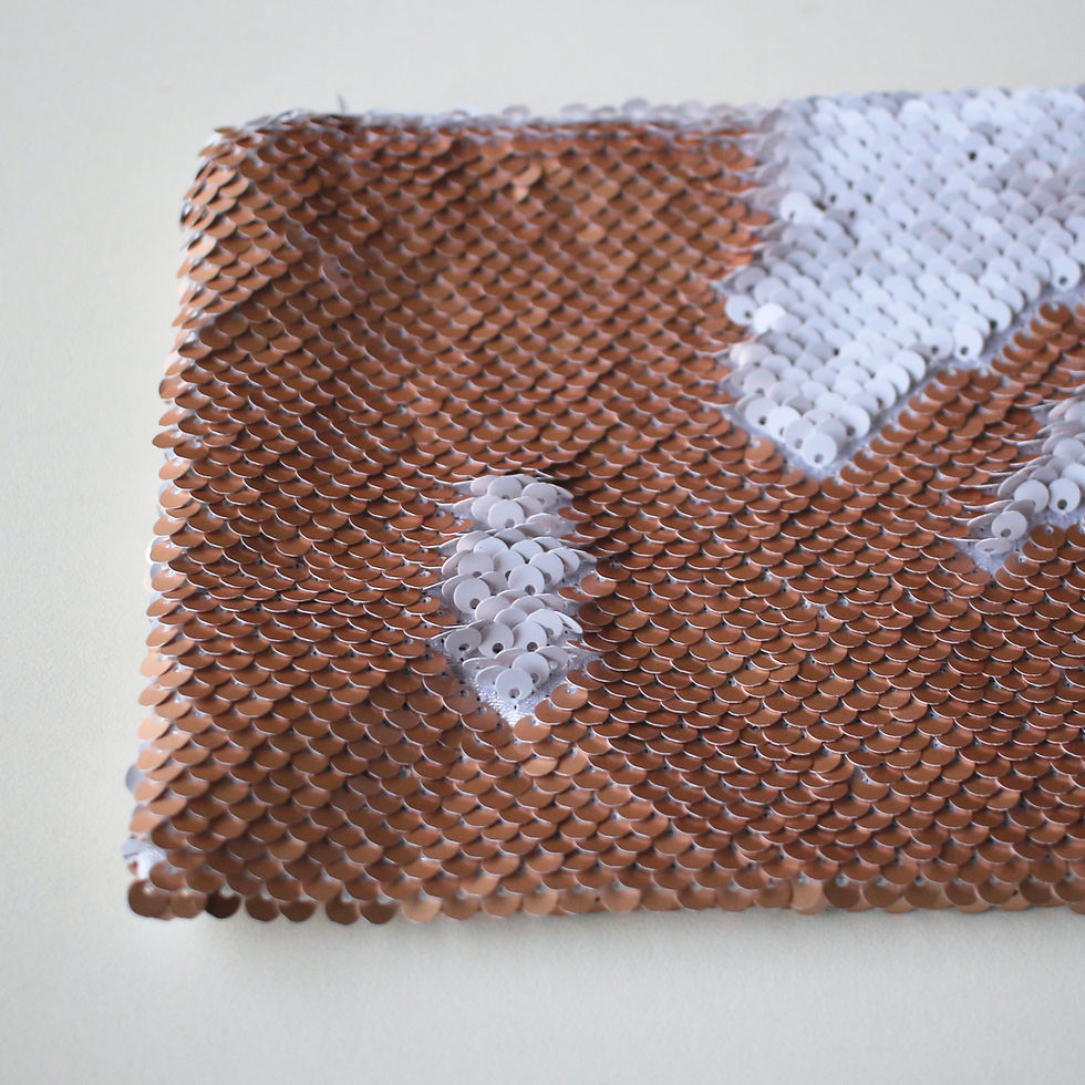 Miniatura: Estuche lentejuelas