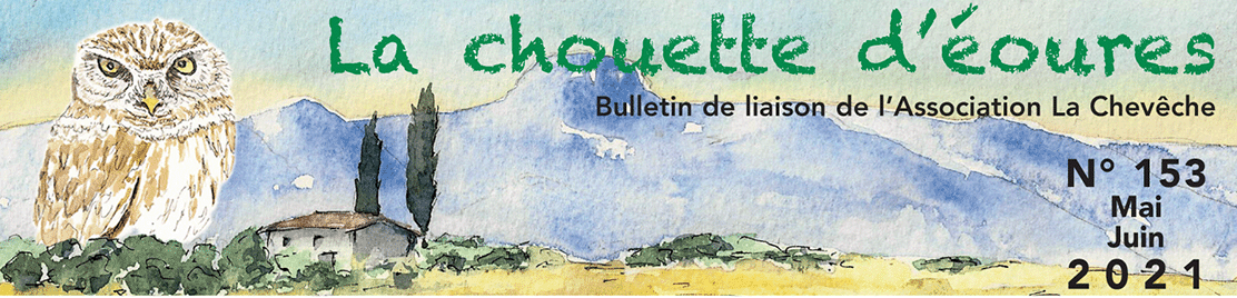 Chouette bandeau 153.gif