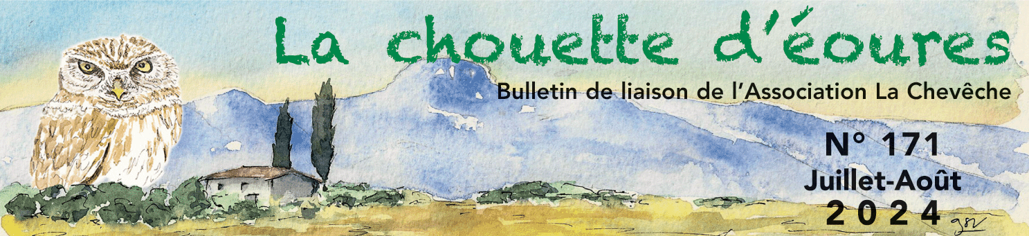 Bandeau Chouette 171.gif