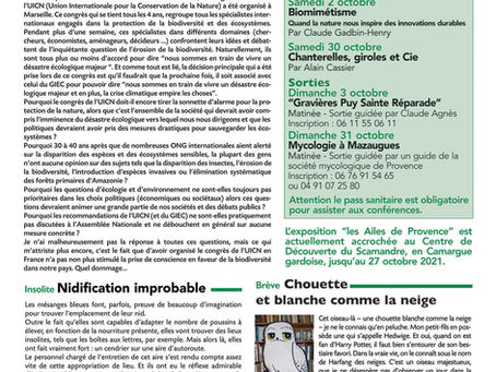 Le bulletin n°154 est en ligne