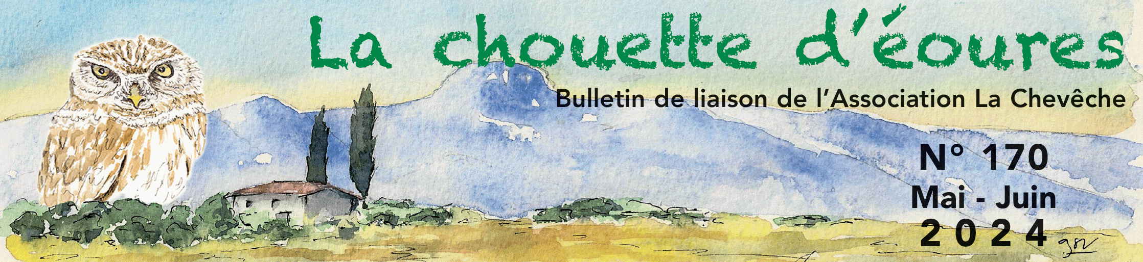 Bandeau Chouette 170.gif