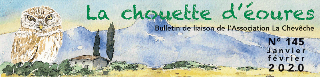 Chouette bandeau 145.gif