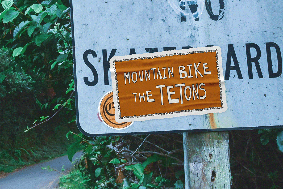 Mountain Bike the Tetons Stickers