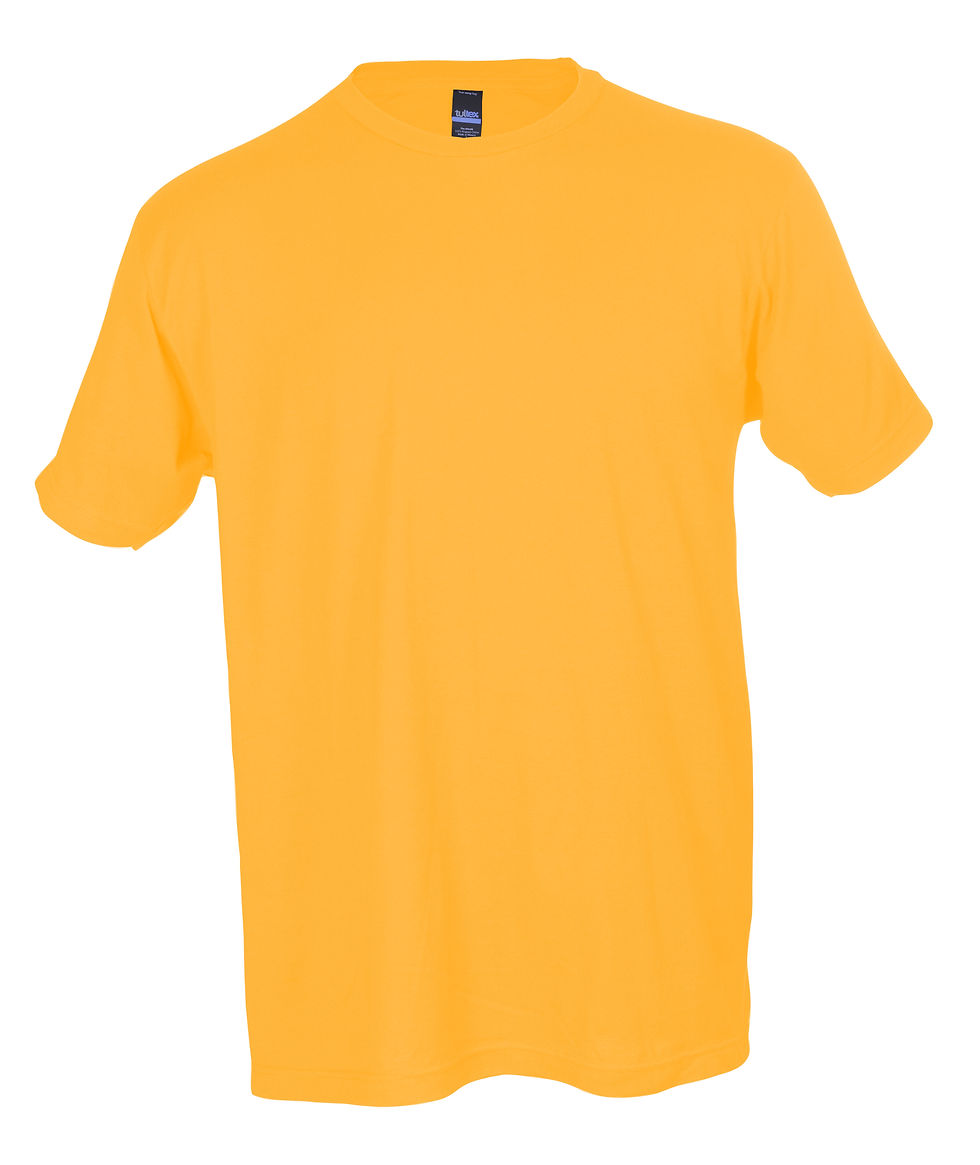 Thumbnail: Tultex 202 Unisex Fine Jersey Tee