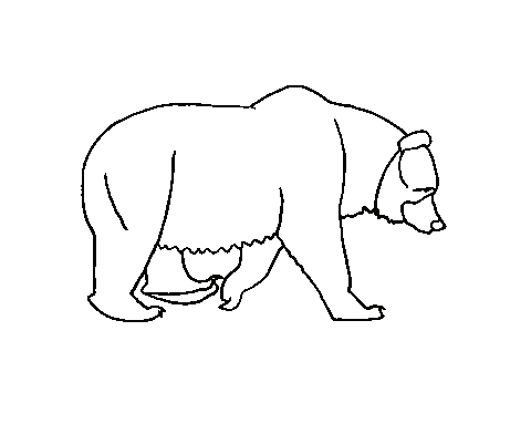 transparent bear.gif