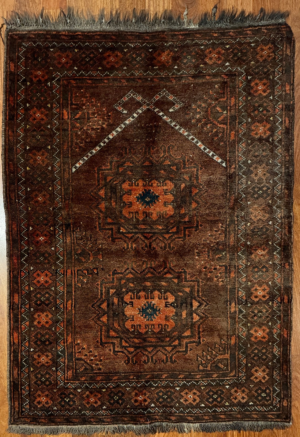 41" x 29"