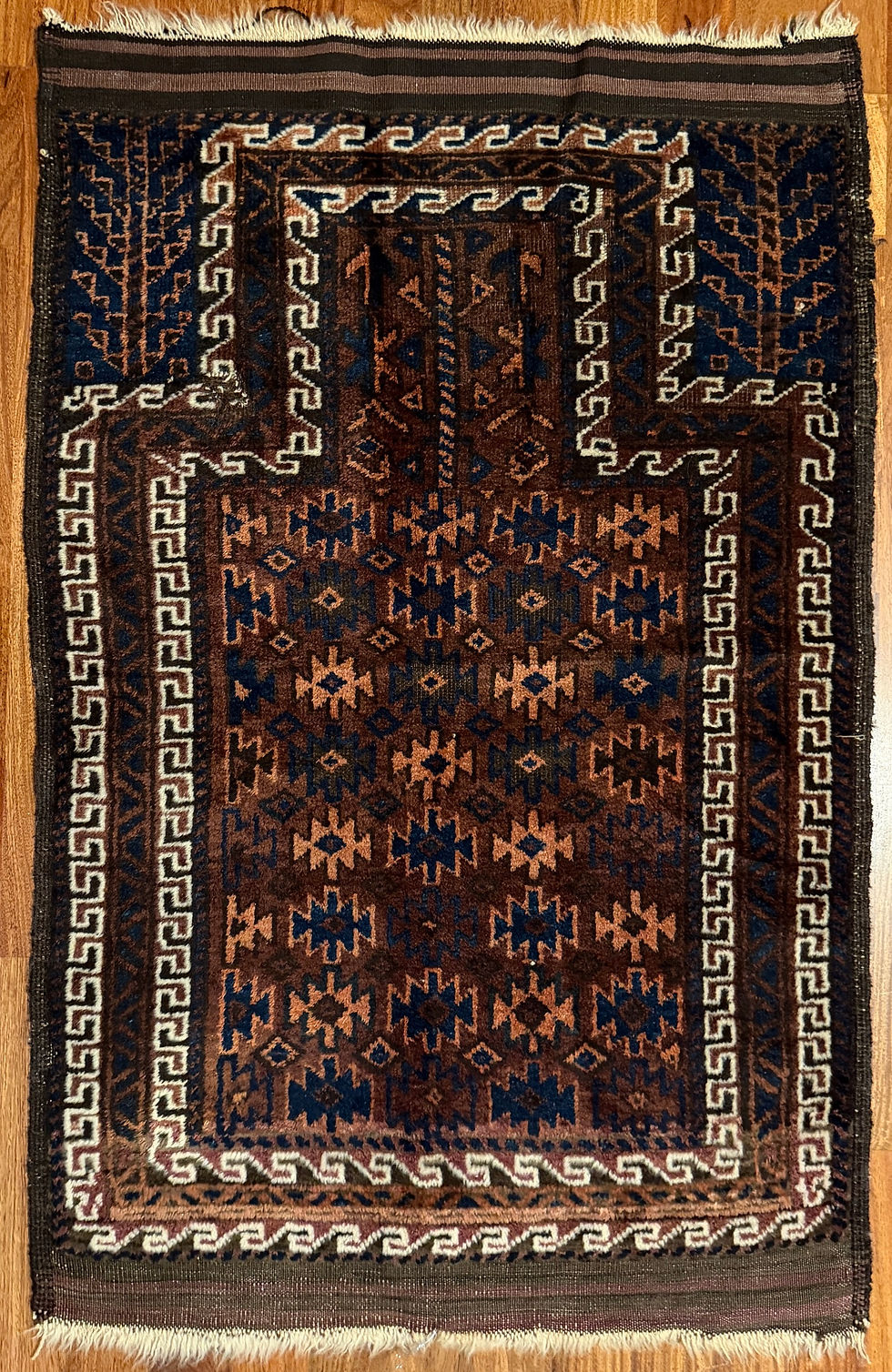 44" x 29"