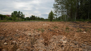Exigim la restauració ambiental de la parcel·la de l'ICFO