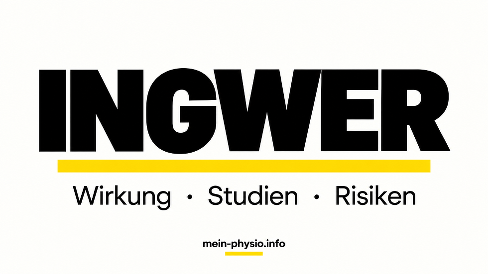 Ingwer: Wirkung, Studien, Anwendung und mögliche Risiken