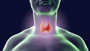 Hypothyreose: Was ist das und wie betrifft sie den Körper?