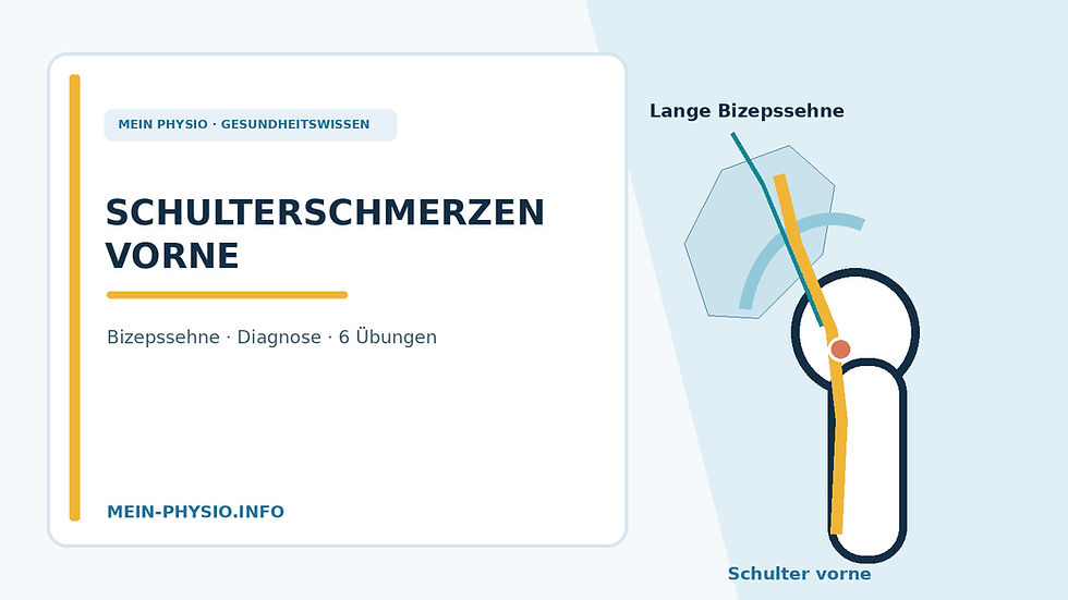 Schulterschmerzen vorne: Ursachen, Bizepssehne und 6 Übungen – eigene medizinische schematische Titelgrafik
