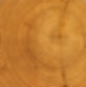 Anneaux en bois