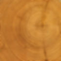 Wood Rings