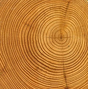 Anelli di legno