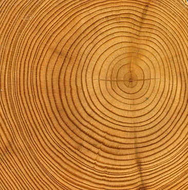 Anneaux en bois