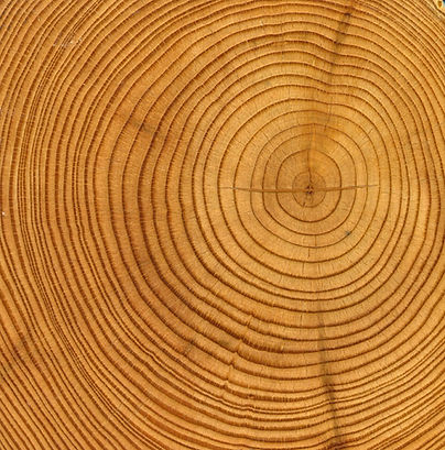 Wood Rings