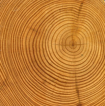 Wood Rings