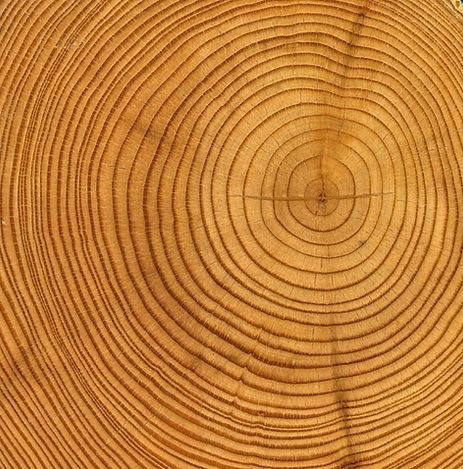 Anneaux en bois