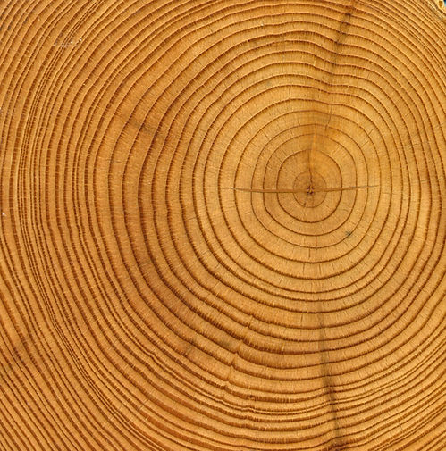 Wood Rings