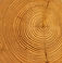 Wood Rings