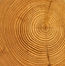 Wood Rings