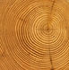 Wood Rings