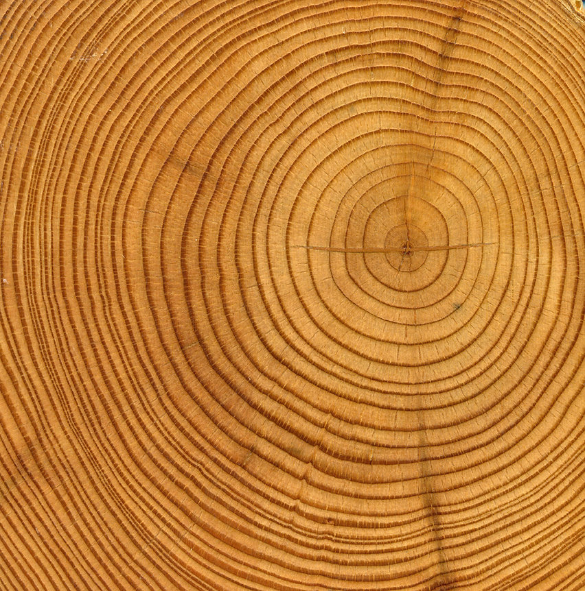 Wood Rings