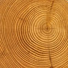 Wood Rings