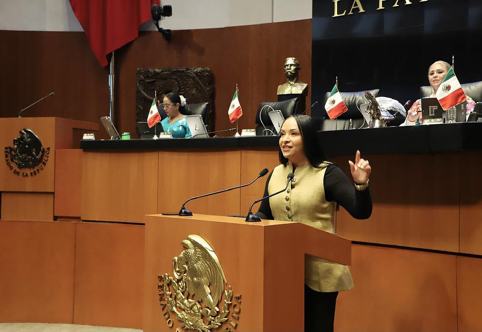 Nuestra lucha es llevar la dignidad y el bienestar a cada hogar: Liz Sánchez