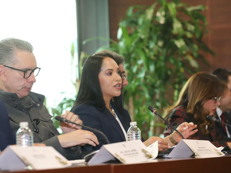 Desde el Senado, Liz Sánchez coloca a Puebla en el diálogo del sector transportista de Norteamérica