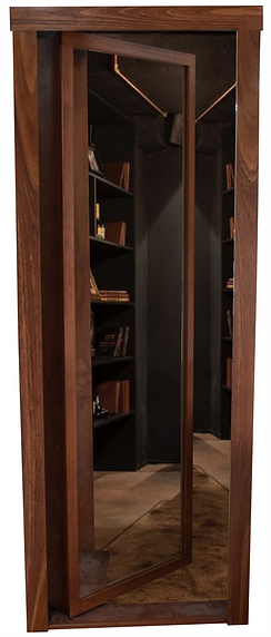 reverse mirror door front open (1).png