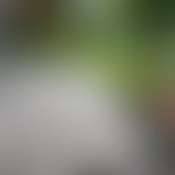 Top Landscaping Services in Pickering, Ontario: Interlocking, Lawn Care, Sod & Garden Design Guide (2026)