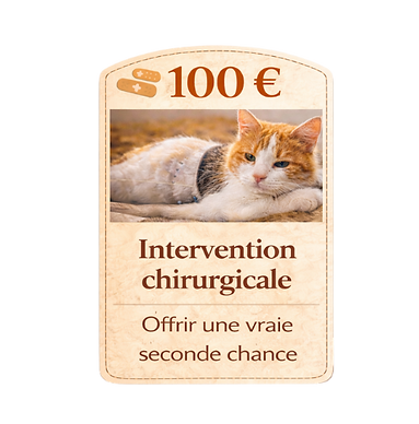 soin vétérinaires prises en charge association