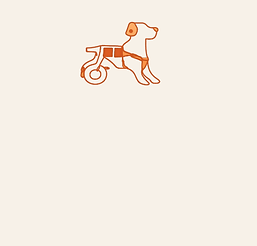 soins animaux accidentés