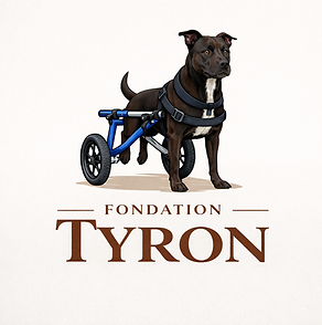 SOS Soins vétérinaires pris en charge à 100%