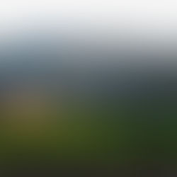 🍷 Cheers to Friendship and Fine Wine: Introducing Our Friends, St. Helena Winery!  Enjoy exclusive benefits when you store your collection at WSM