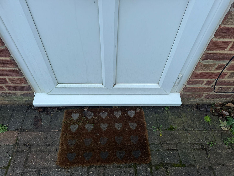 after new door sill installed