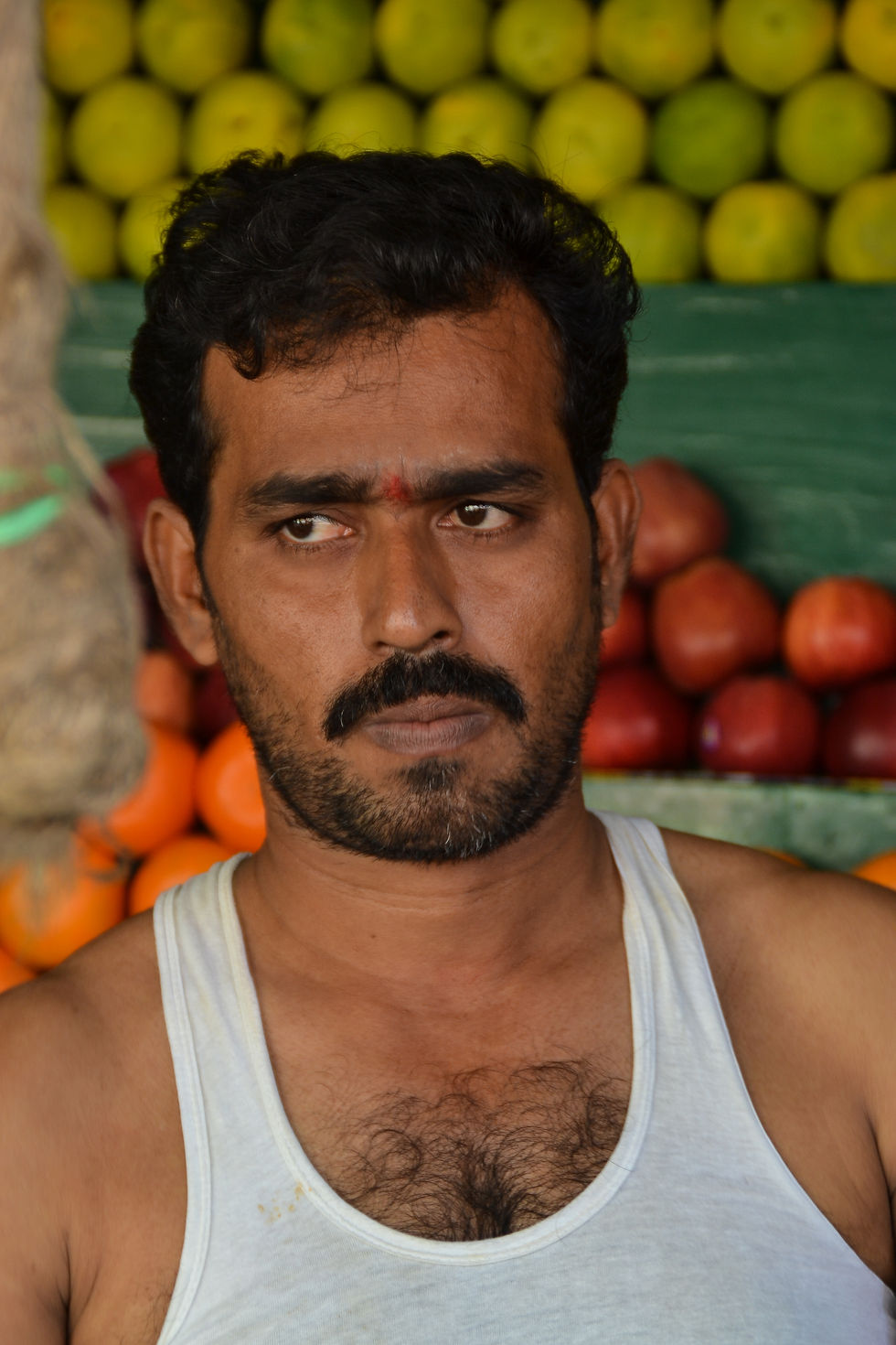 DSC_0488