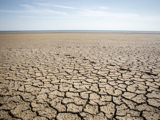 THE DROUGHT PROJECT