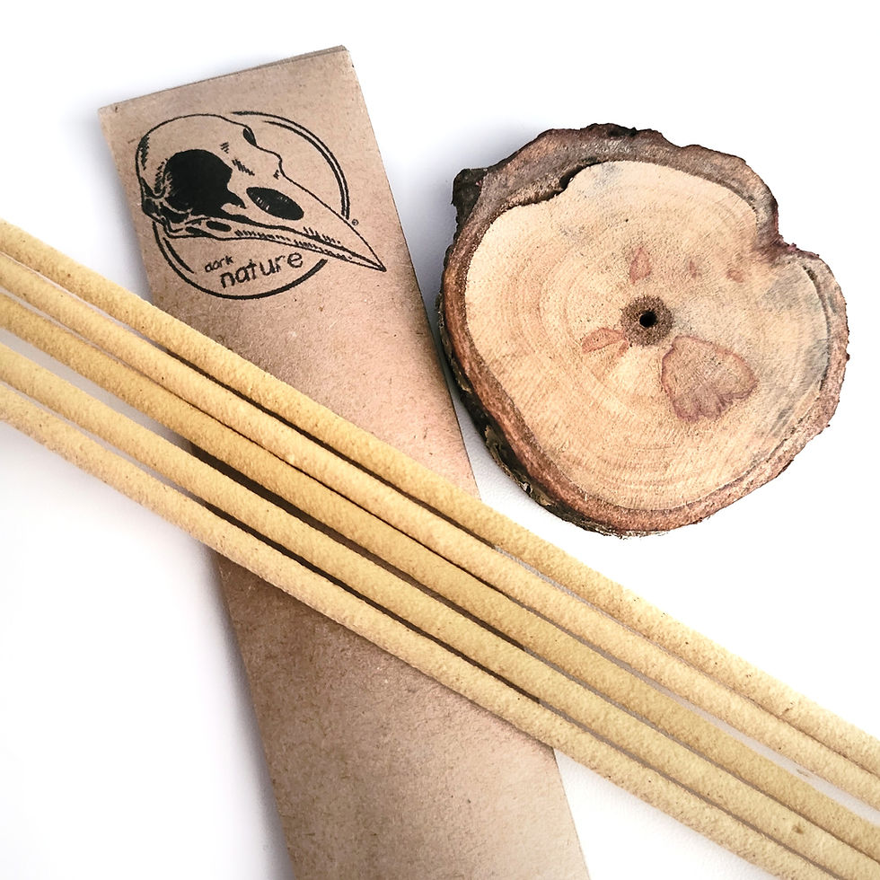 Miniatura: Dark Nature Incense - Canela