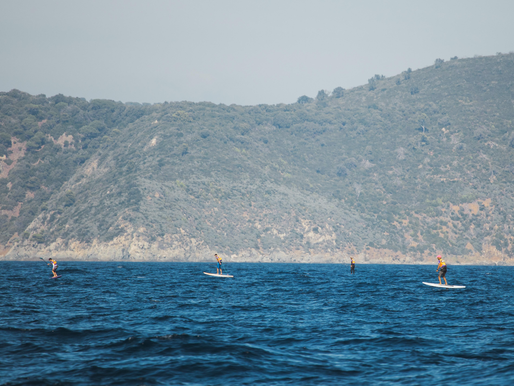 Downwind foil racing in St Tropez France
