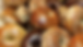 Handrolled bagels from jersey bagel