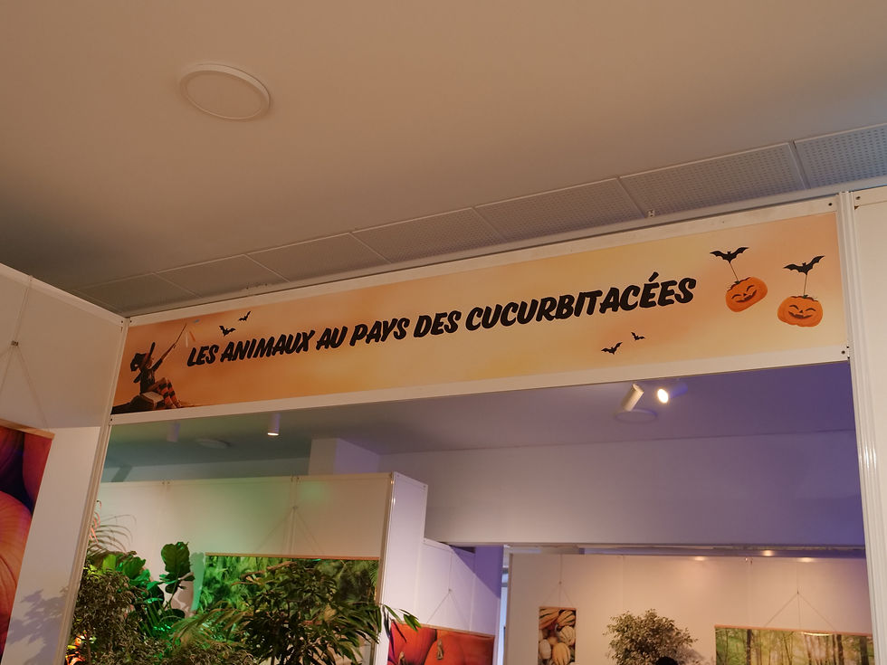 EXPOSITION CTLT 2025 (1)