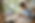 AI_Forward_Header-Image.png
