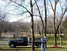 andstar_pictures_109.jpg