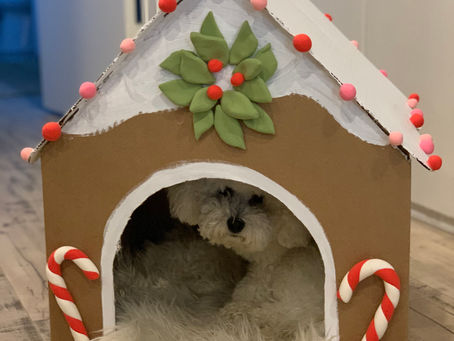 DIY Cardboard Dog House: A Cozy Retreat for Your Pup