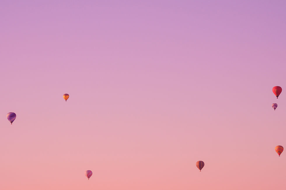 sarah-sheedy-etLM4Du5S6E-unsplash.jpg