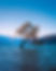 laura-smetsers-St08jKkPVHw-unsplash.jpeg