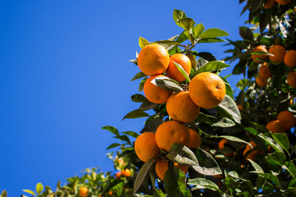 AdobeStock_184213066