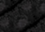 AdobeStock_323668038.jpeg